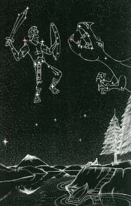 Orion Constellation at Eagle Ridge