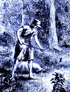 https://commons.wikimedia.org/wiki/File:Johnny_Appleseed.gif