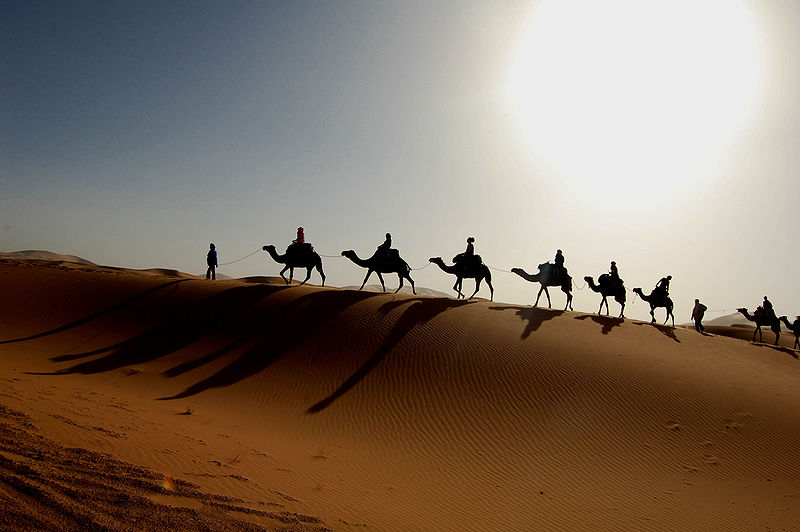 Maroc Sahara caravan wikimedia share-alike license