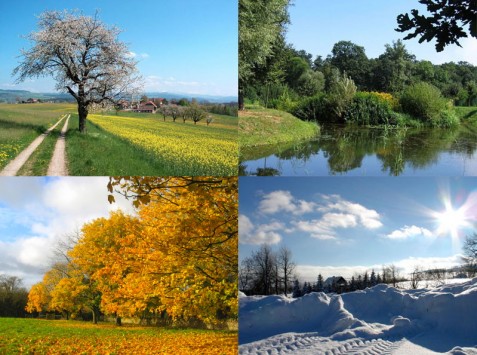 http://commons.wikimedia.org/wiki/File:Four_seasons.jpg
