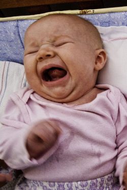 http://commons.wikimedia.org/wiki/File:Baby_yelling.jpg
