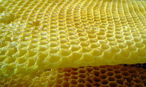 http://commons.wikimedia.org/wiki/File:Honeycombs-rayons-de-miel-3.jpg