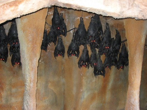 https://commons.wikimedia.org/wiki/File:The_Bat_theming_Lagoon_Utah.JPG