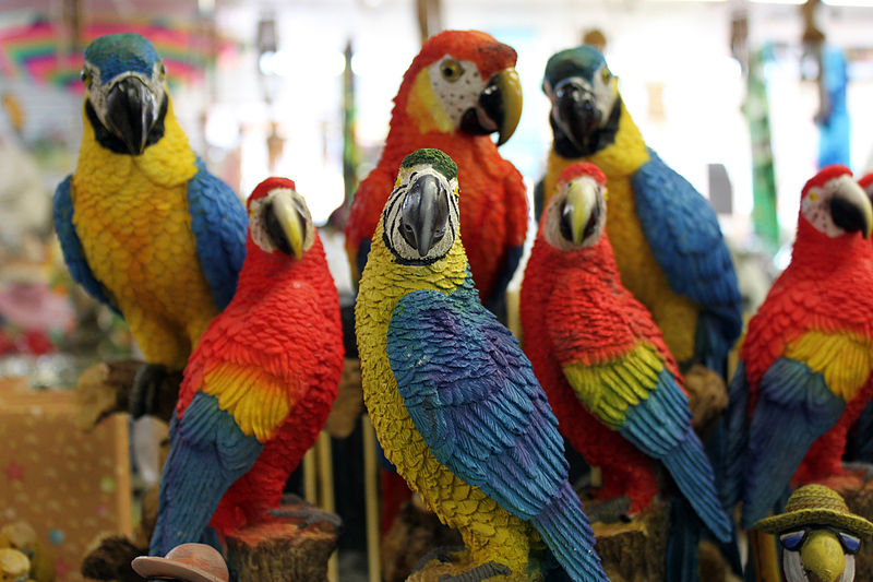Sentinal Parrots - Wikimedia - Creative Commons Attribution 2.0 Generic license.