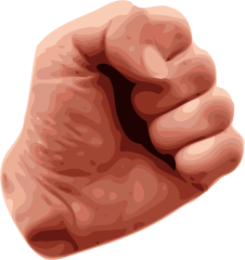 https://upload.wikimedia.org/wikipedia/commons/thumb/b/bb/Clenched_human_fist_vectorized.svg/226px-Clenched_human_fist_vectorized.svg.png