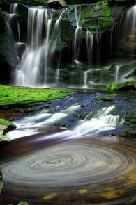http://commons.wikimedia.org/wiki/File:Elakala_Waterfalls_Swirling_Pool_Mossy_Rocks.jpg