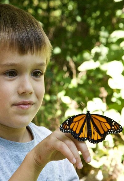 https://commons.wikimedia.org/wiki/File:Child_boy_face_with_butterfly.jpg