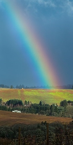 https://commons.wikimedia.org/wiki/File:Rainbow_Hunt_(24519494184).jpg