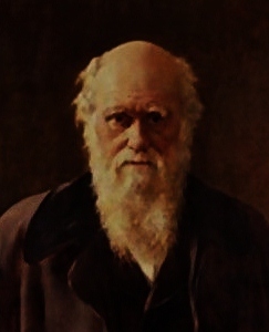 charles-darwin-by-John-Collier-artist- www.wikigallery.com -public-domain