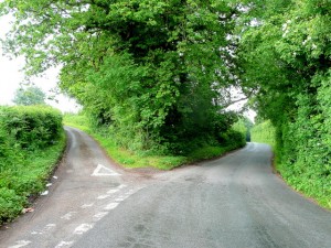http://commons.wikimedia.org/wiki/File:Fork_in_the_road_-_geograph.org.uk_-_1355424.jpg