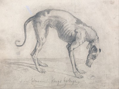 http://commons.wikimedia.org/wiki/File:John_Sell_Cotman_-_A_Starved_Greyhound_-_Google_Art_Project.jpg