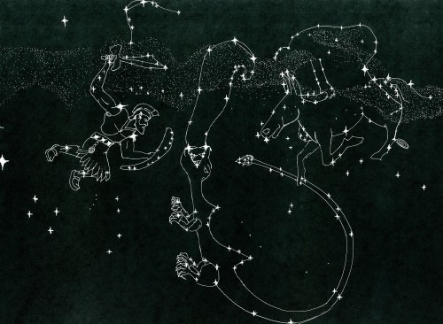 Winter Constellations in the west