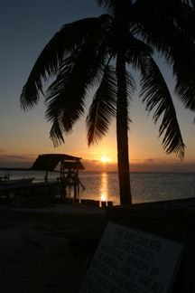 https://commons.wikimedia.org/wiki/Category:Belize