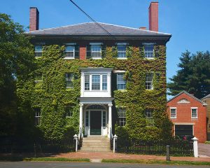https://commons.wikimedia.org/wiki/File:Ivy_Covered_House.jpg