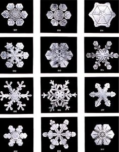 https://commons.wikimedia.org/wiki/File:SnowflakesWilsonBentley.jpg