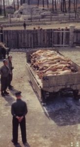 https://commons.wikimedia.org/wiki/Category:Corpses_in_Buchenwald_concentration_camp#/media/File:Corpses_Wagon_Buchenwald_18th.jpg