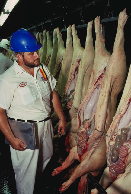 https://commons.wikimedia.org/wiki/File:Swine_inspection_USDA.jpg