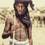 https://commons.wikimedia.org/wiki/File:Camels_are_bred_by_Cholistani_people_which_they_sell_for_business,_transportation,_sacrifice_and_meat.jpg