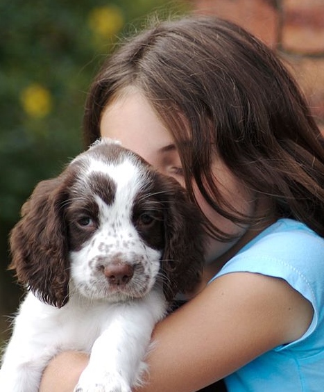 https://commons.wikimedia.org/wiki/File:Cute_Girl_with_cite_puppy.jpg